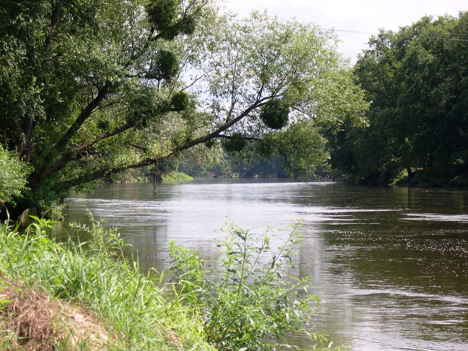 zdjęcie rzeki