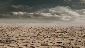 More about: WORLD DAY TO COMBAT DESERTIFICATION AND DROUGHT