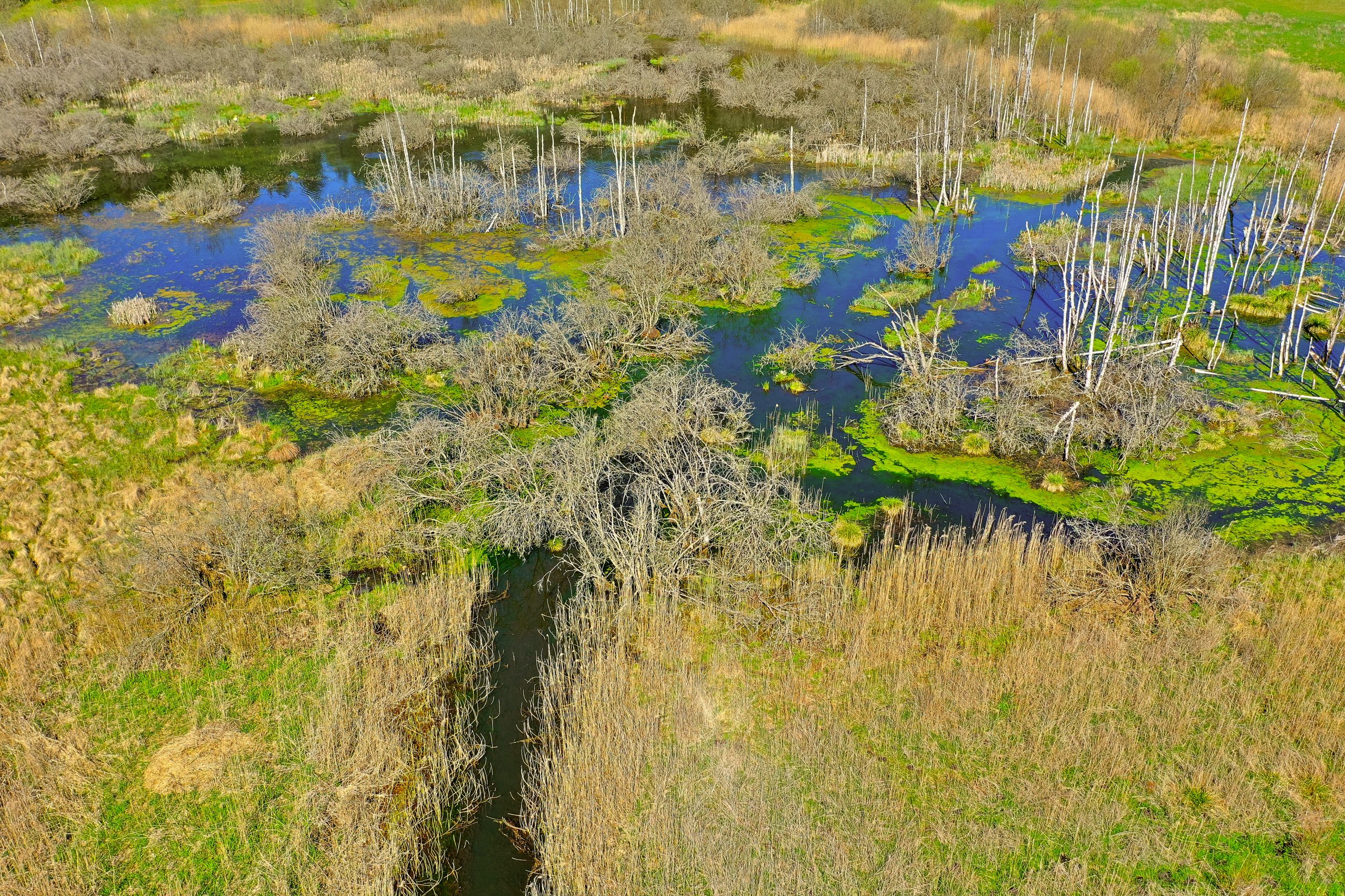 Stop drought Start retention World Wetlands Day 2025 Spring in the wetlands of Mazury