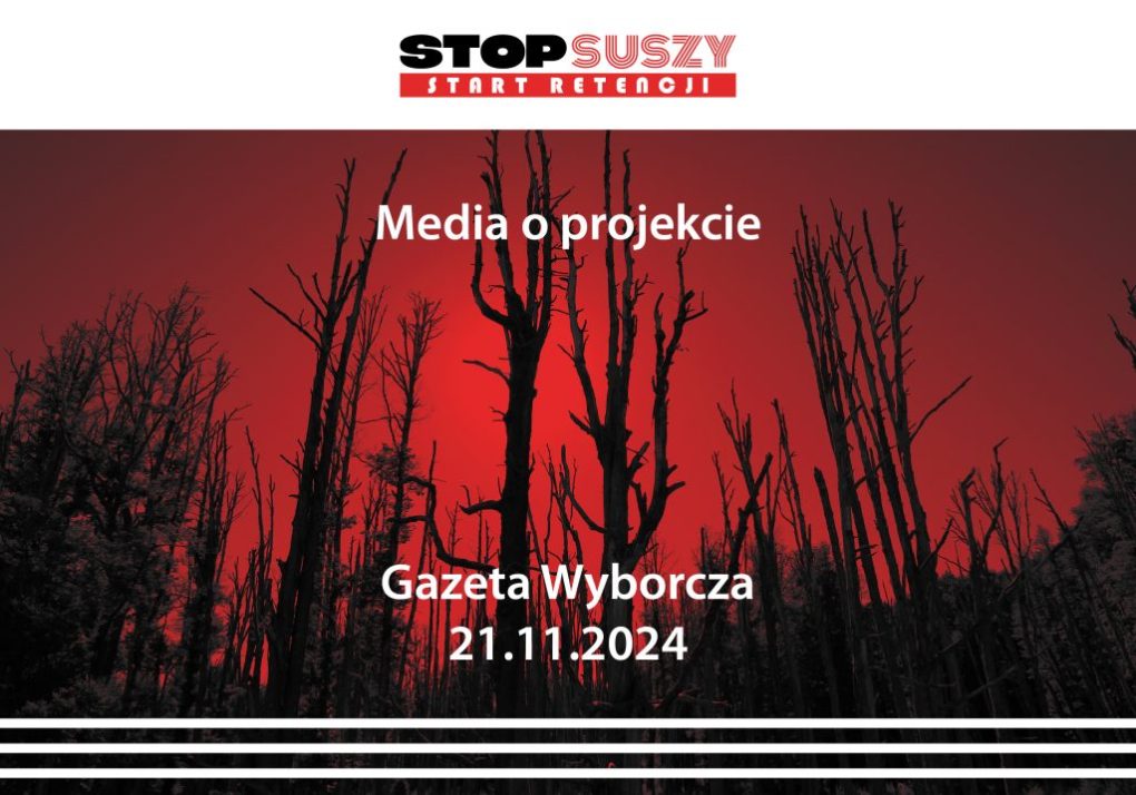 Martwe, wypalone drzewa na tle intensywnie czerwonego nieba, logo stop suszy start retencji - baner do artykułu w gazeta wyborcza 21.11.2024