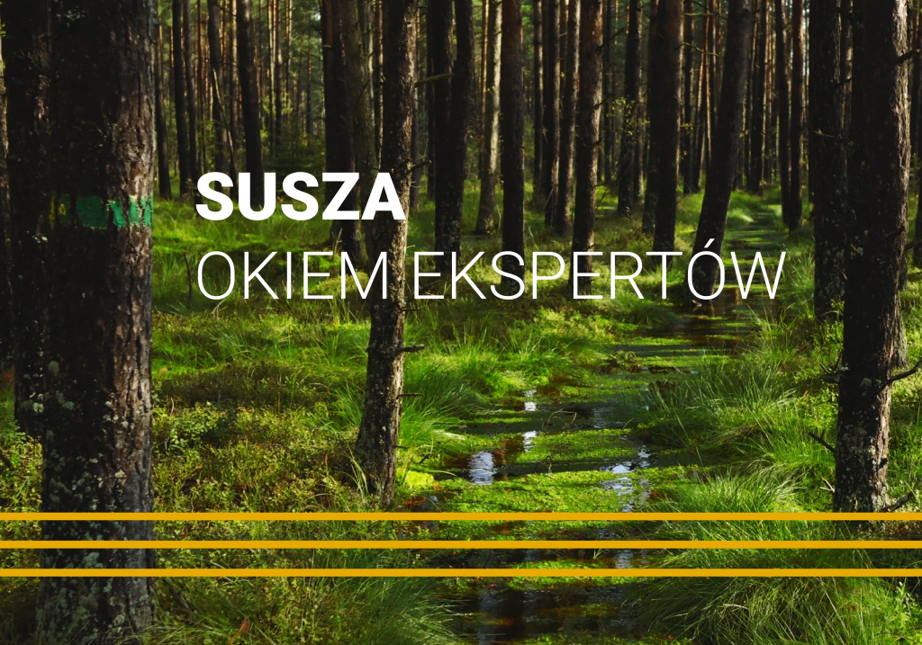 Mokradło leśne i woda w krajobrazie jako przykład retencji w kontekście problemu suszy
