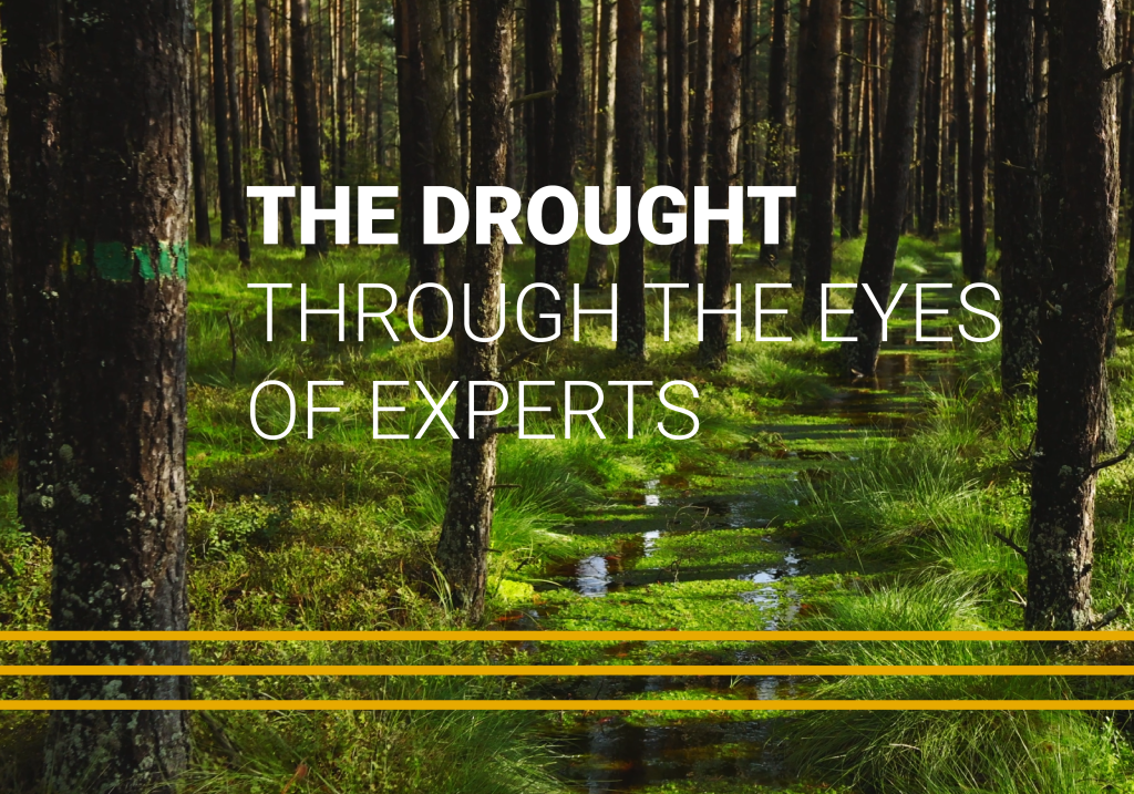 Forest wetlands and water in the landscape as an example of water retention in the context of drought